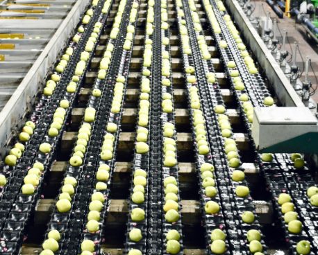 Industria alimentară